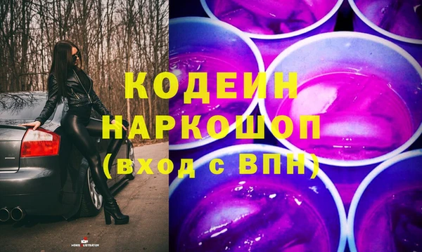 трава Коряжма