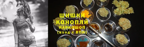 амф Корсаков