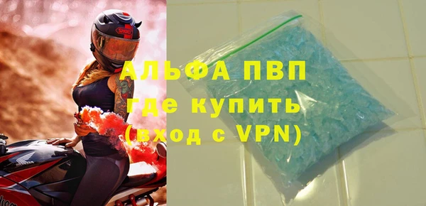 трава Коряжма