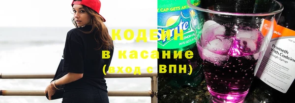 трава Коряжма