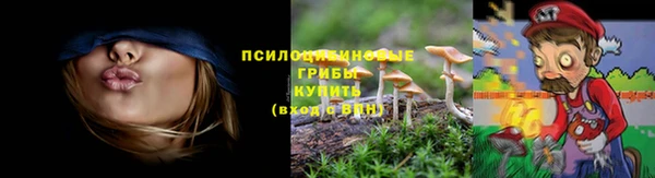 mdpv Красноперекопск