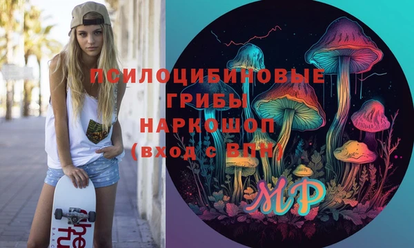 трава Коряжма
