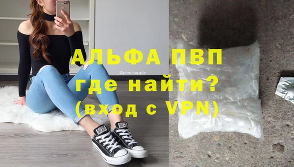 трава Коряжма