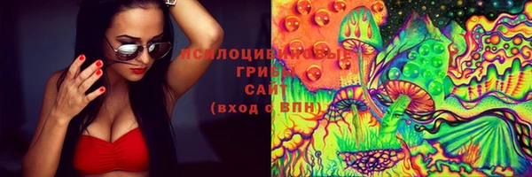 трава Коряжма