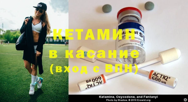 трава Коряжма