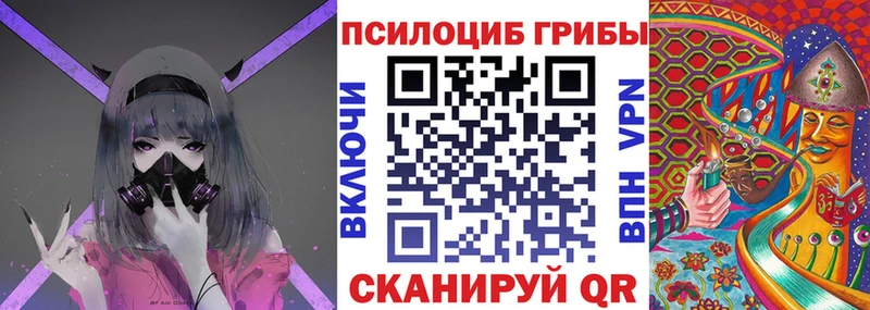 Псилоцибиновые грибы Cubensis  Купить  Пласт 